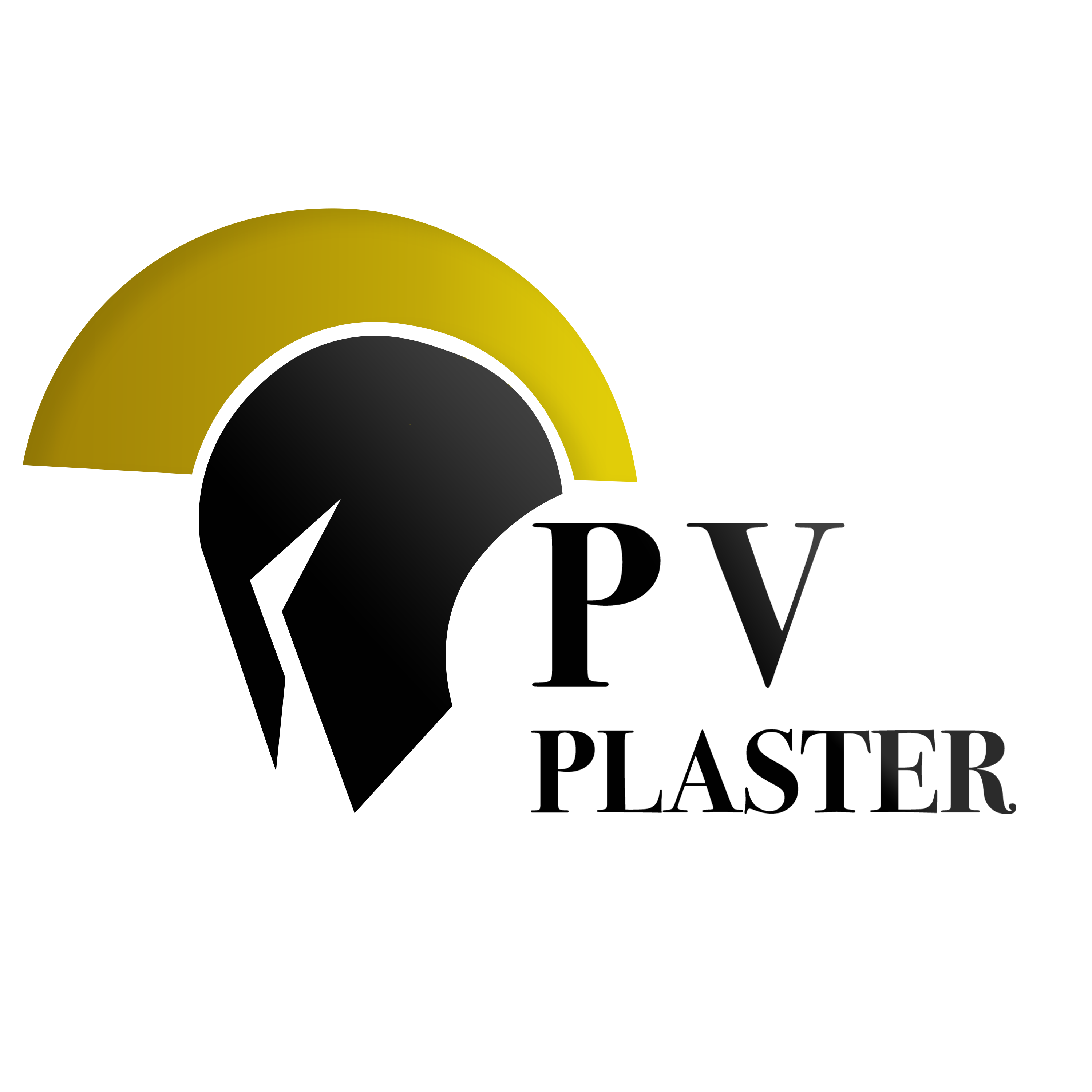 PV Plaster Logo - Full Color 2